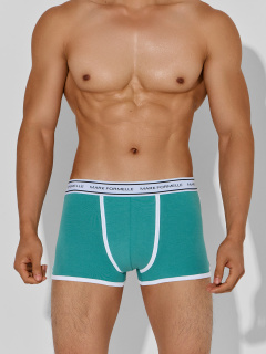 Трусы Mark Formelle 411165-2/25-5141Ц-5 персидский_зеленый_черный - фото 1