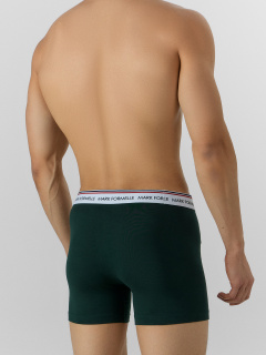 Трусы Mark Formelle 411235/25-5747Ц-5 зеленый_бархат - фото 4