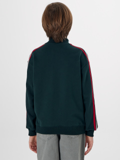 Толстовка Mark Formelle 363355/25-39242Ц-7 зеленый_бархат - фото 1