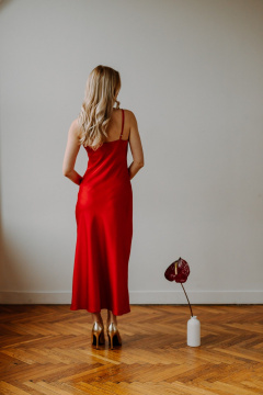 Платье AEQU 170003-red - фото 4