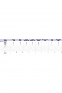 Брюки, жакет Michel chic 1436/1 пурпур - фото 5