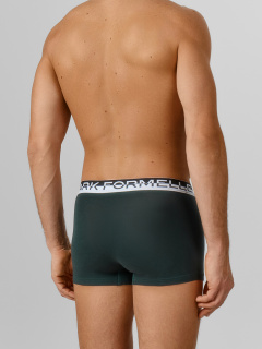 Трусы Mark Formelle 411228-3/25-5560Ц-5 зеленый_бархат_темный_кармин_черный - фото 2