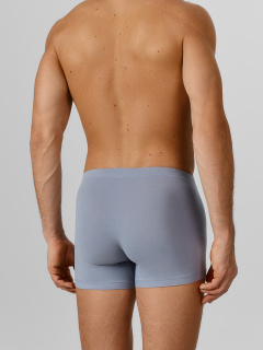 Трусы Mark Formelle 411220-2/25-5402П-5 сизый_картошка_на_затмении_3_сл_1тр_на_ЛВ_дет - фото 3