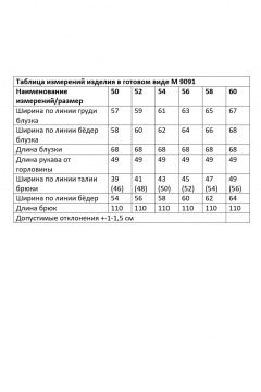 Блуза, брюки Andina city 9091-25 синий - фото 5