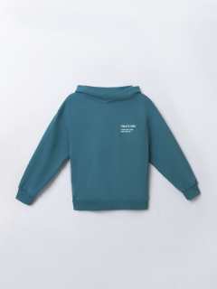 Брюки, худи Mark Formelle 393323/25-39252П-7 пыльный_изумруд_печать_1_сл_на_пол_ДК - фото 3