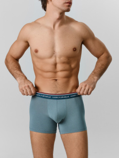 Трусы Mark Formelle 411221-4/25-5561Ц-5 полынь - фото 1