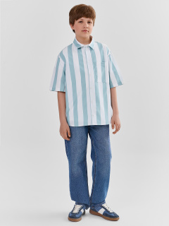 Рубашка Mark Formelle 113456-1/25-40511П-9 белая_полоска_на_пыльной_бирюзе - фото 1