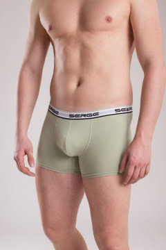 Трусы SERGE 7011/142 green-074 - фото 1