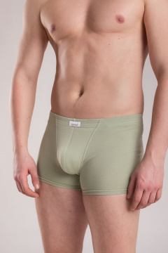 Трусы SERGE 7039/203 green-074 - фото 1