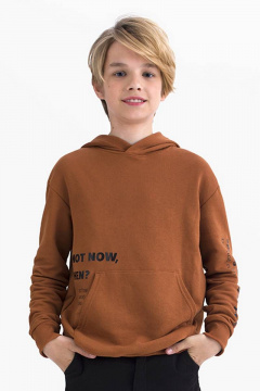 Худи с капюшоном и шрифтовым принтом из футера Bell Bimbo 212129 терракот - фото 1