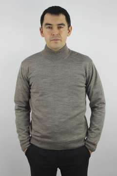 Демисезонный бежевый свитер с воротником-стойкой и регланом Полесье С3012-15 5С1749-Д43 182,188 св.дюна - фото 1