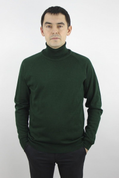 Демисезонный зеленый мужской свитер с воротником-стойкой Полесье С3070-17 7С1581-Д43 170,176 темная_зелень - фото 1
