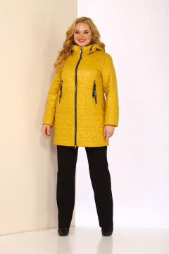 Shetti 2067 горчица