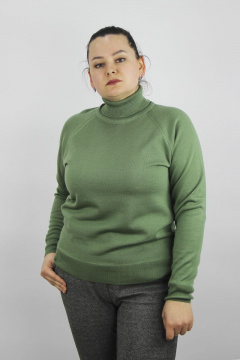 Демисезонный женский свитер с высоким воротником Полесье С3433-17 7С1582-Д43 170,176 кактус - фото 1