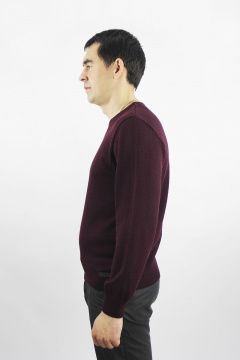 Джемпер второй слой одежды с длинным рукавом из хлопка Полесье С5679-20 1С1101-Д43 182,188 сливовый - фото 2