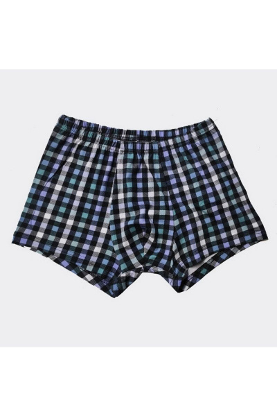 Трусы Купалинка 495245 клетка - фото 1