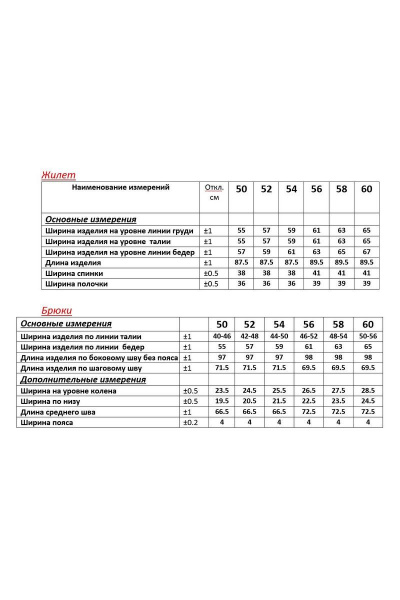 Брюки, жилет ANASTASIA MAK 1060 графит - фото 3