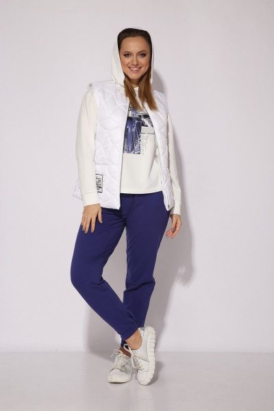 Брюки, жилет, свитшот TAiER 1156 - фото 10