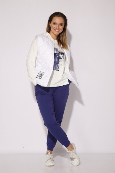 Брюки, жилет, свитшот TAiER 1156 - фото 1