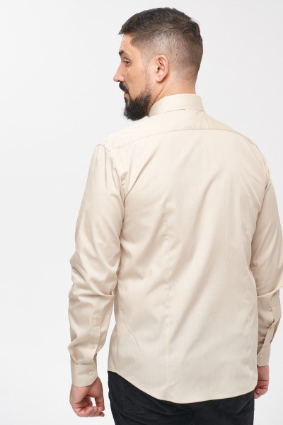 Рубашка Nadex 01-047411/204-22_170-176 капучино - фото 4