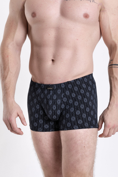 Трусы SERGE 7039/45 patt0623 - фото 1