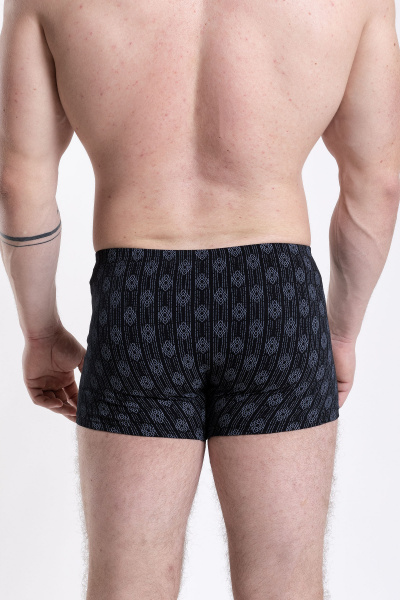 Трусы SERGE 7039/45 patt0623 - фото 2