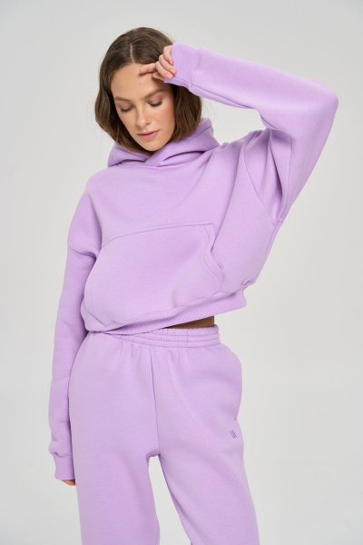 Брюки, худи RAWR 311 лиловый.начес - фото 4