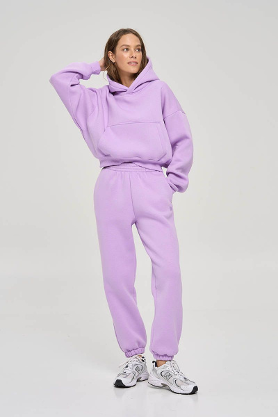 Брюки, худи RAWR 311 лиловый.начес - фото 1