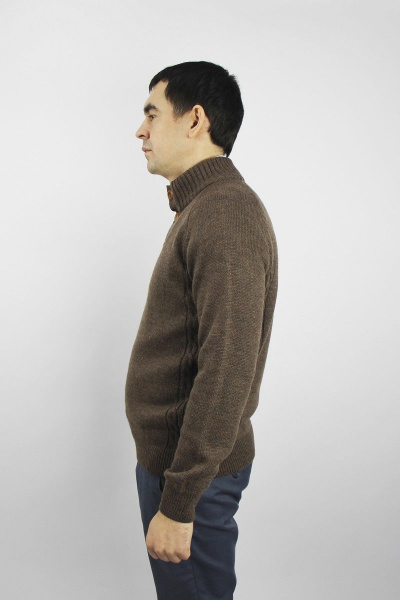 Джемпер реглан из трикотажа с пуговицами демисезонный Полесье С5107-21 1С1341-Д43 182,188 кофе - фото 2