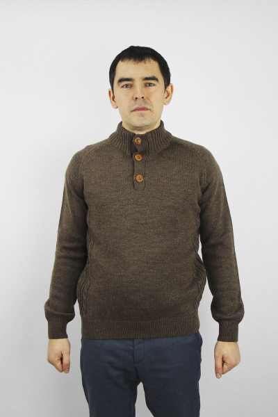 Джемпер реглан из трикотажа с пуговицами демисезонный Полесье С5107-21 1С1341-Д43 182,188 кофе - фото 1