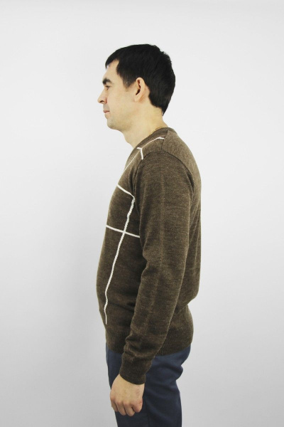 Джемпер на каждый день из трикотажа с V-образным вырезом Полесье С5629-20 0С8583-Д43 170,176 кофе - фото 2