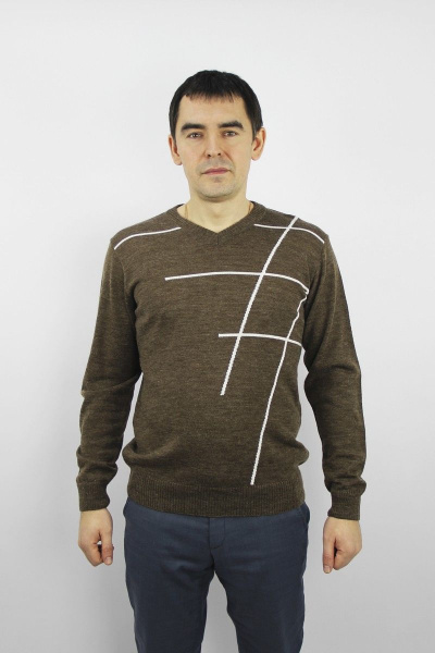 Джемпер на каждый день из трикотажа с V-образным вырезом Полесье С5629-20 0С8583-Д43 170,176 кофе - фото 1