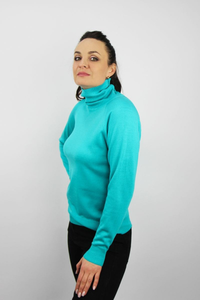 свитер из трикотажа с высоким воротником и рукавом реглан Полесье С3433-17 7С1582-Д43 170,176 изумрудный_город - фото 2