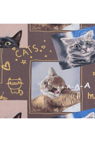 Классический комплект бязи 1.5-спальный с карманом АРТПОСТЕЛЬ 112 замурчательная_жизнь - фото 4