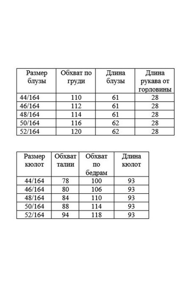 Блуза, брюки AGATTI 5105 - фото 4