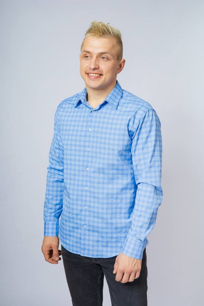 Рубашка Nadex 01-048612/429-23_170-176 голубой - фото 6