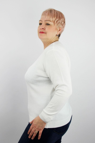 Джемпер с рисунком и однотонной спинкой на демисезон Полесье С0449-15 6С0177-Д43 158,164 отбеленный - фото 2