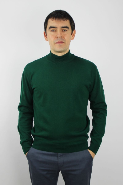 Демисезонный свитер из трикотажа с воротником-стойкой Полесье С3012-15 5С1749-Д43 170,176 темная_зелень - фото 1