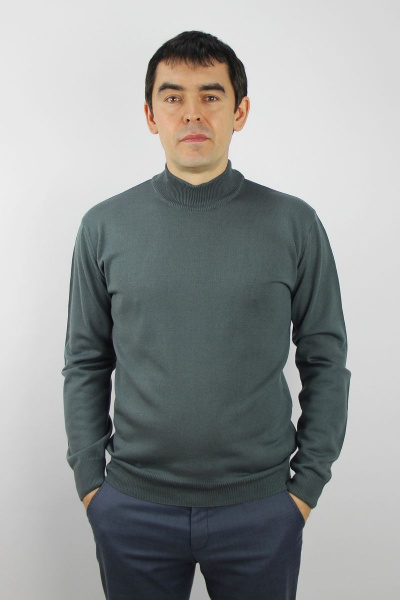 Демисезонный свитер из трикотажа с воротником-стойкой Полесье С3012-15 5С1749-Д43 182,188 мегаполис - фото 1