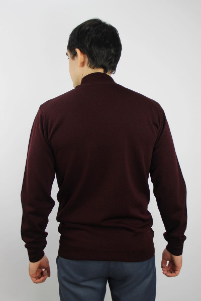 Демисезонный свитер из трикотажа с воротником-стойкой Полесье С3012-15 5С1749-Д43 182,188 марун - фото 3