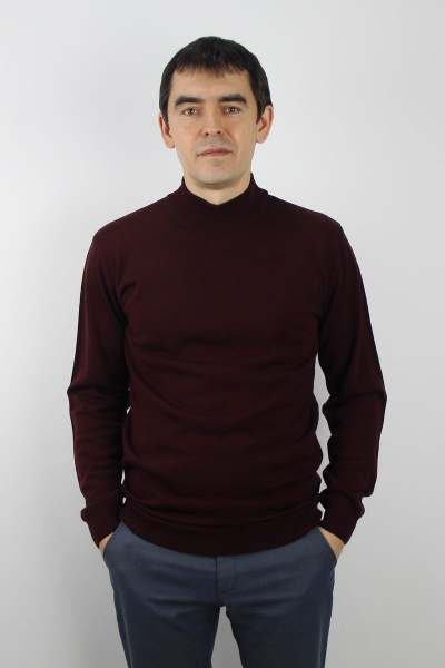 Демисезонный свитер из трикотажа с воротником-стойкой Полесье С3012-15 5С1749-Д43 182,188 марун - фото 1
