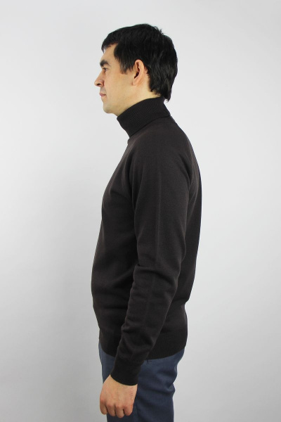 Мужской демисезонный свитер реглан с круглым вырезом Полесье С3070-17 7С1581-Д43 170,176 изысканный_кофейный - фото 2