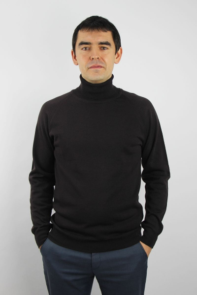 Мужской демисезонный свитер реглан с круглым вырезом Полесье С3070-17 7С1581-Д43 170,176 изысканный_кофейный - фото 1