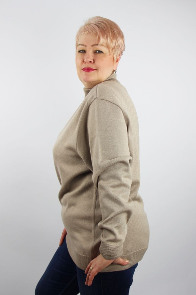 Бежевый хлопковый свитер с регланом и воротником-стойка Полесье С3708-22 2С5271-Д43 170,176 бежевый - фото 2