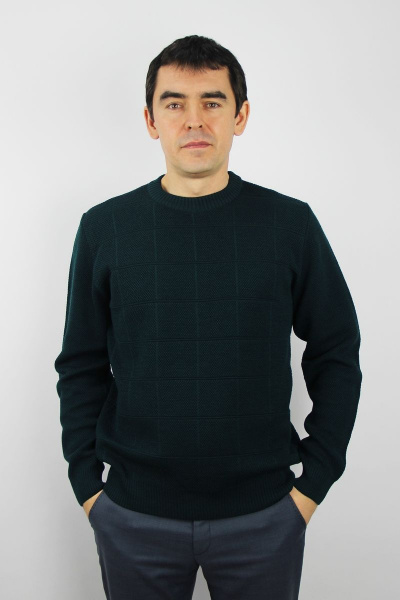 Джемпер из шерсти и трикотажа с круглым вырезом второго слоя Полесье С5199-22 3С3002-Д43 170,176 кедр - фото 1
