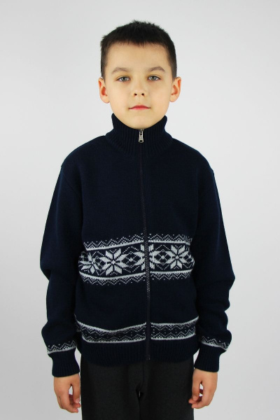 Демисезонный хлопковый жакет для мальчика с молнией Полесье С2104-21 1С1359-Д43 146 м.синий - фото 1