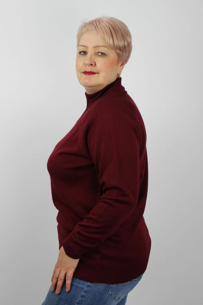 Демисезонный красный свитер прямого силуэта реглан с воротником Полесье С3316-15 5С1754-Д43 170,176 бордовый - фото 2