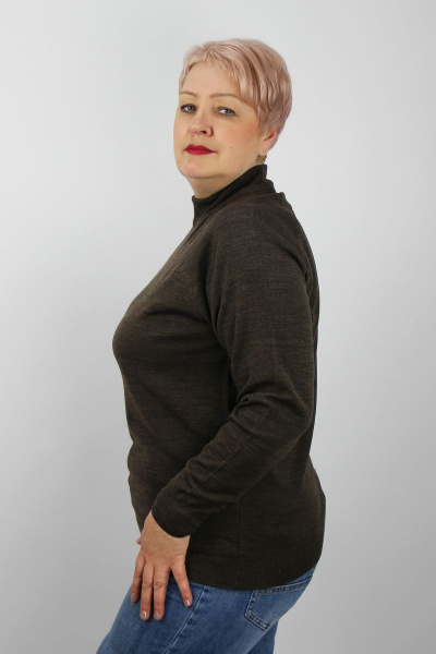 Демисезонный коричневый свитер прямого силуэта реглан с воротником Полесье С3316-15 5С1754-Д43 170,176 коричневый - фото 2