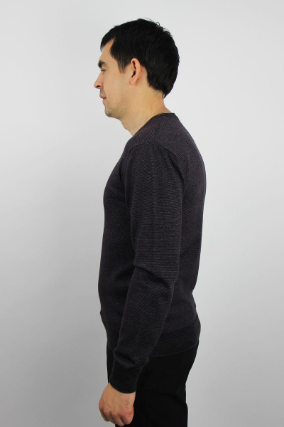 Джемпер из трикотажа с длинным рукавом и Y-образным вырезом второго слоя Полесье С5599-19 9С0255-Д43 182,188 баклажан - фото 2