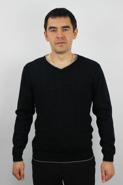 Джемпер из хлопка черный мужской второго слоя, демисезон Полесье С5652-20 1С1005-Д43 170,176 черный_антрацит - фото 1